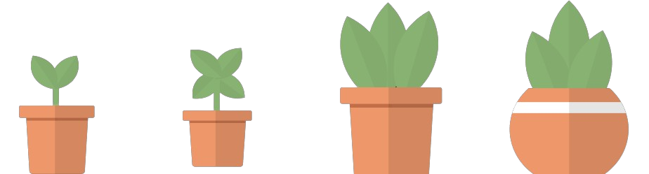 Vasos de plantas